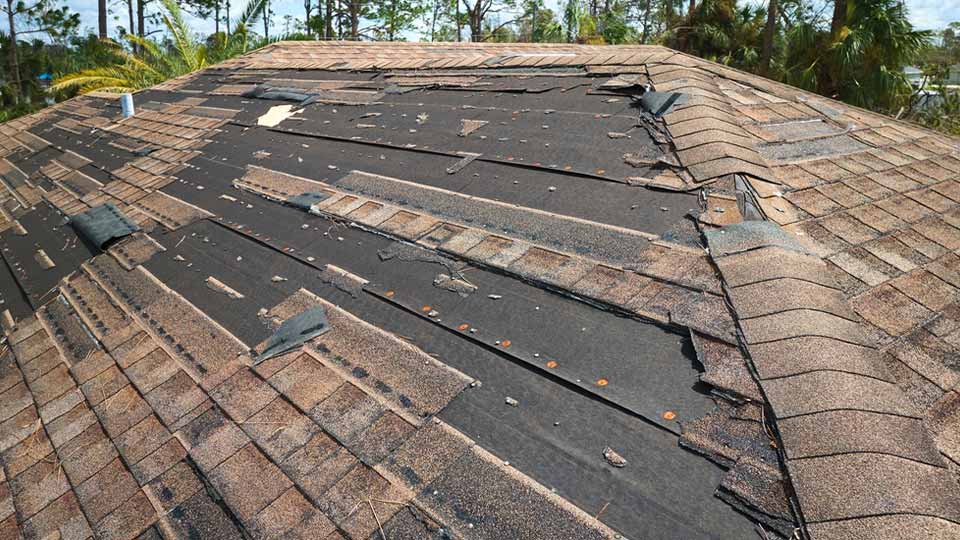 Shingle Replacement