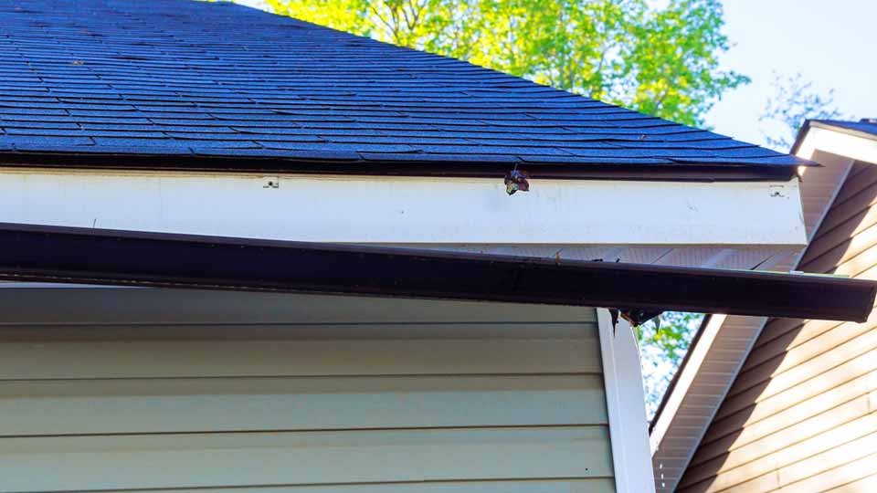 Gutter Damage
