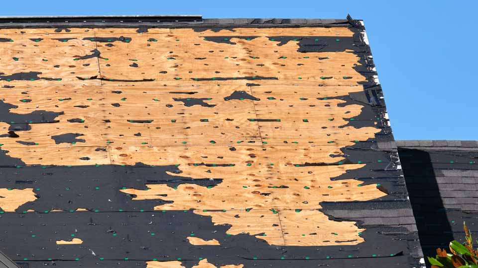 Wind Damage